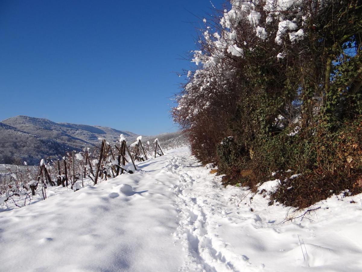 Au Coeur Des Vignes Apartman Bergheim Kültér fotó