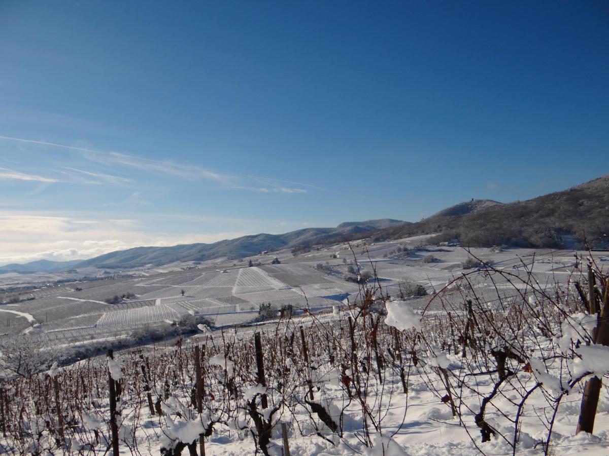 Au Coeur Des Vignes Apartman Bergheim Kültér fotó