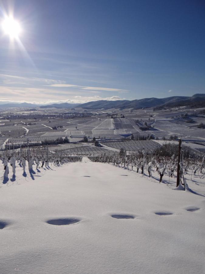 Au Coeur Des Vignes Apartman Bergheim Kültér fotó
