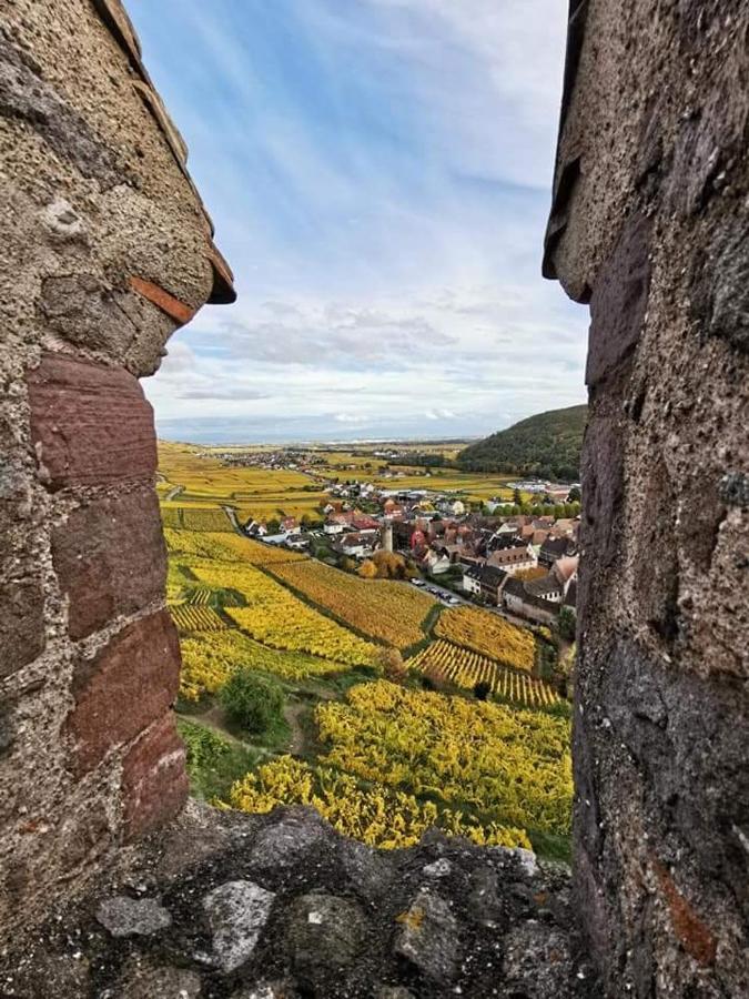 Au Coeur Des Vignes Apartman Bergheim Kültér fotó