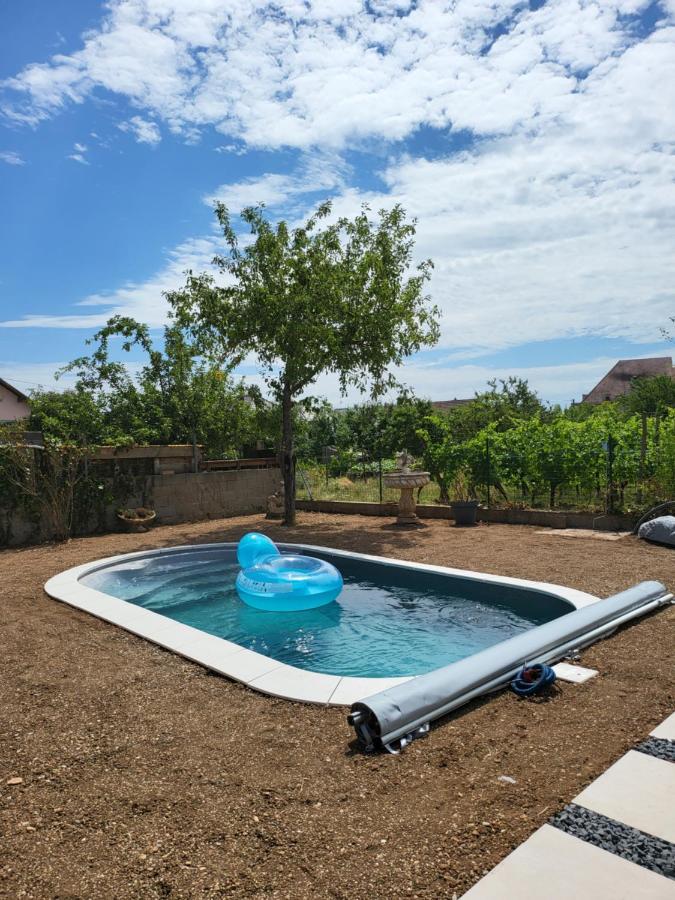 Au Coeur Des Vignes Apartman Bergheim Kültér fotó